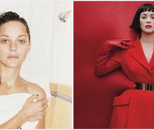 rencontre marion cotillard