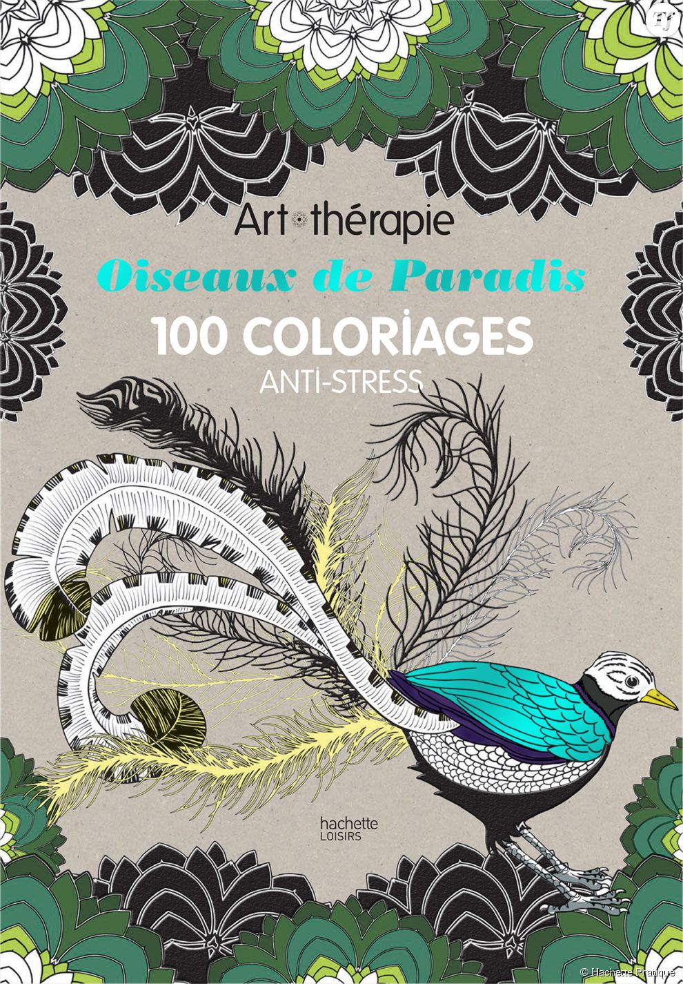 Oiseaux de Paradis 100 coloriages anti stress
