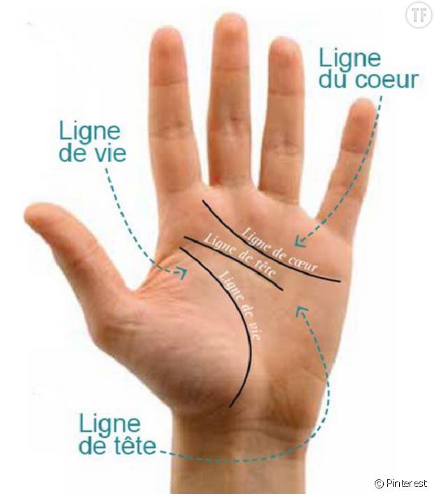 Voici un schéma très simple pour repérer les lignes de la main et leur signification.