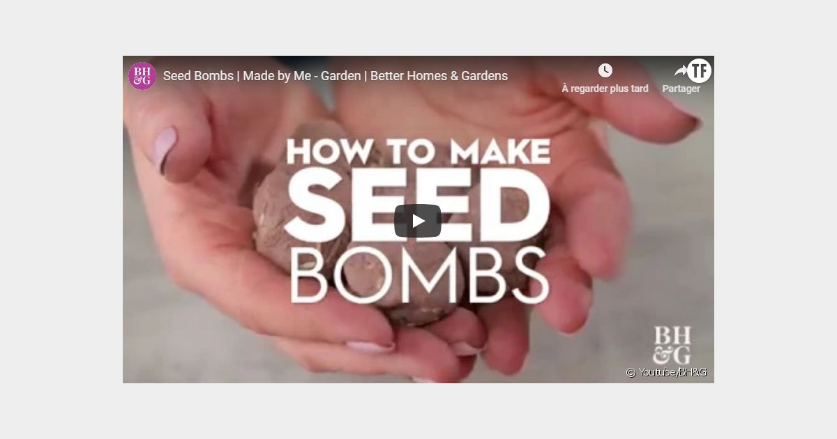 Fabriquer des bombes à graines pour reverdir son jardin : facile et utile !