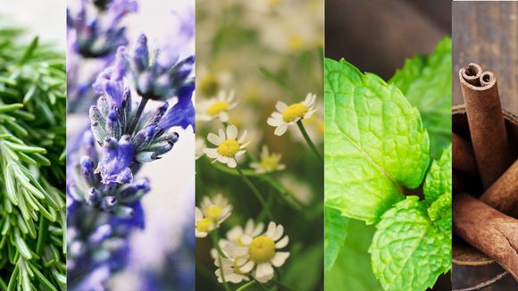 5 traitements naturels contre la migraine