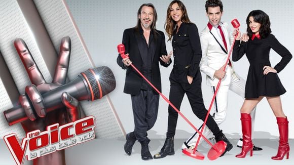 The Voice 2015 : la liste des 16 candidats qualifiés pour les shows en direct