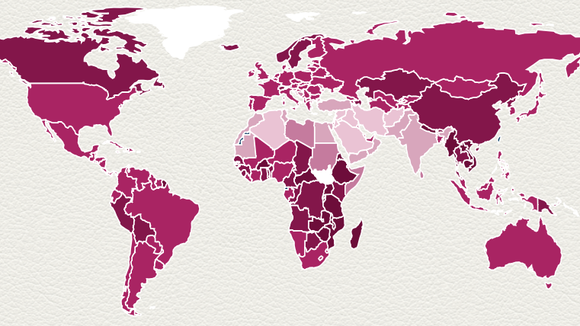 Pourquoi y a-t-il de moins en moins de femmes actives dans le monde ?