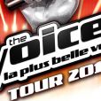 The Voice Tour 2015