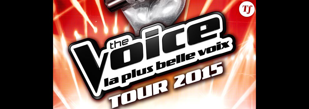 The Voice Tour 2015