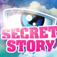 Secret Story 9 : comment l'émission sera programmée sur TF1 et NT1 ?