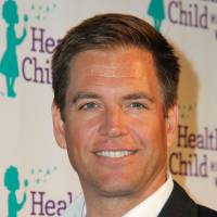 NCIS saison 13 : Michael Weatherly (Tony DiNozzo) s'en prend à Grey's Anatomy