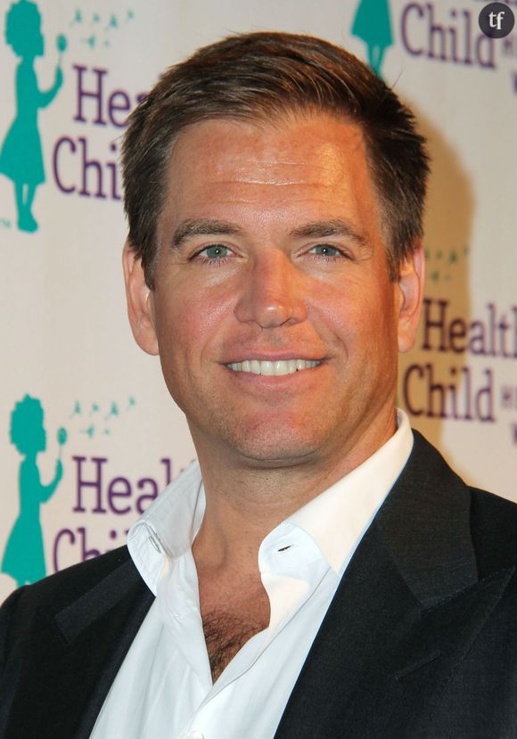 NCIS saison 13 : Michael Weatherly (Tony DiNozzo) s'en prend à Grey's Anatomy