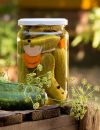 Les cornichons, "pickles" par excellence