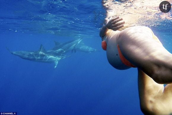 Dorina Rosin nage avec des dauphins