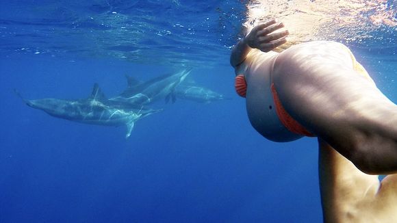 Cette future maman a décidé d'accoucher au milieu des dauphins