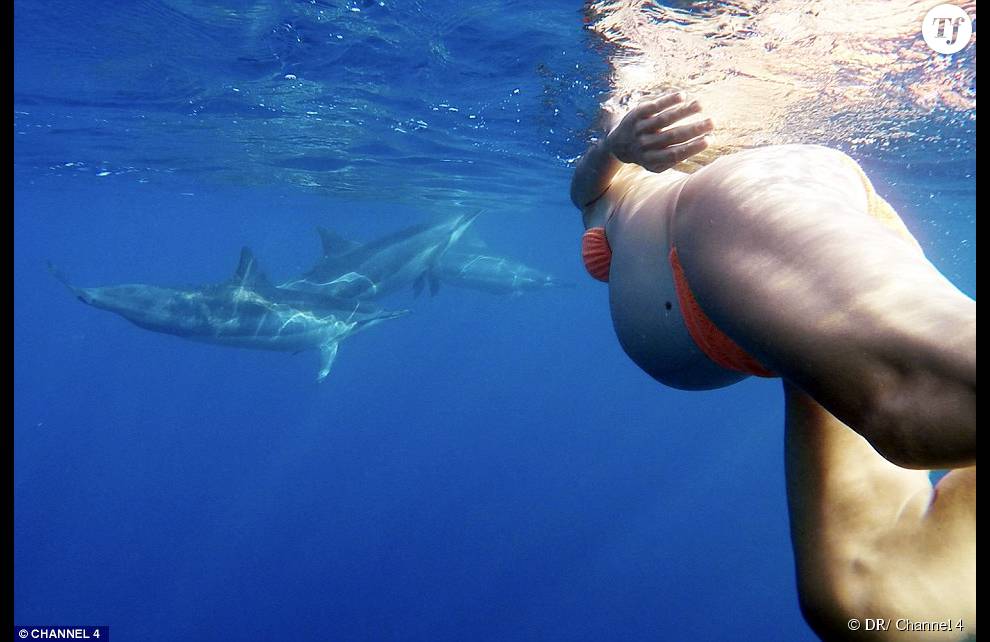Dorina Rosin nage avec des dauphins