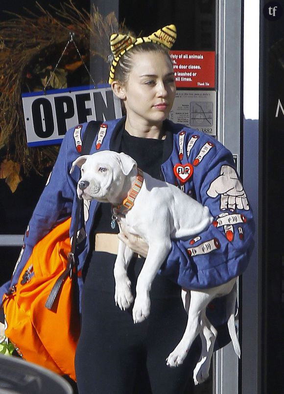 Miley Cyrus à la sortie d'un cabinet vétérinaire avec son chien à Studio City, le 10 novembre 2015 