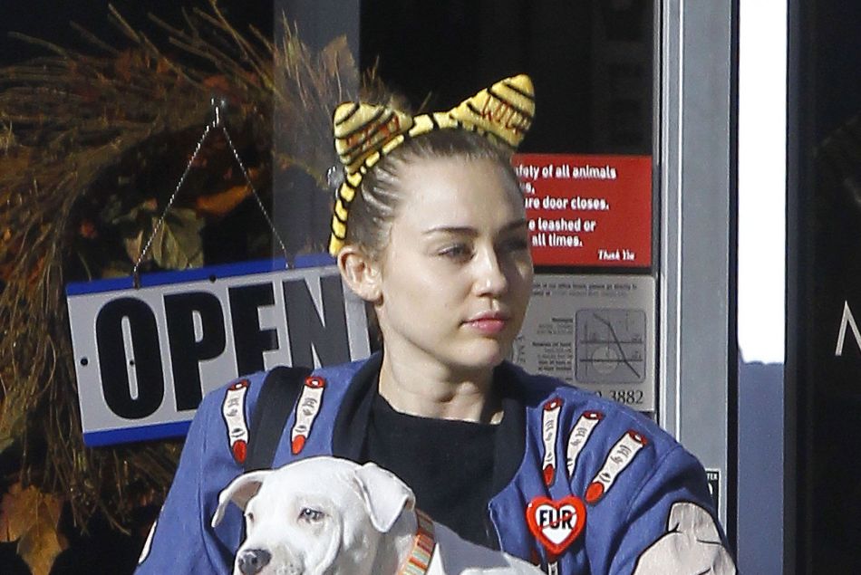 Miley Cyrus à la sortie d'un cabinet vétérinaire avec son chien à Studio City, le 10 novembre 2015 