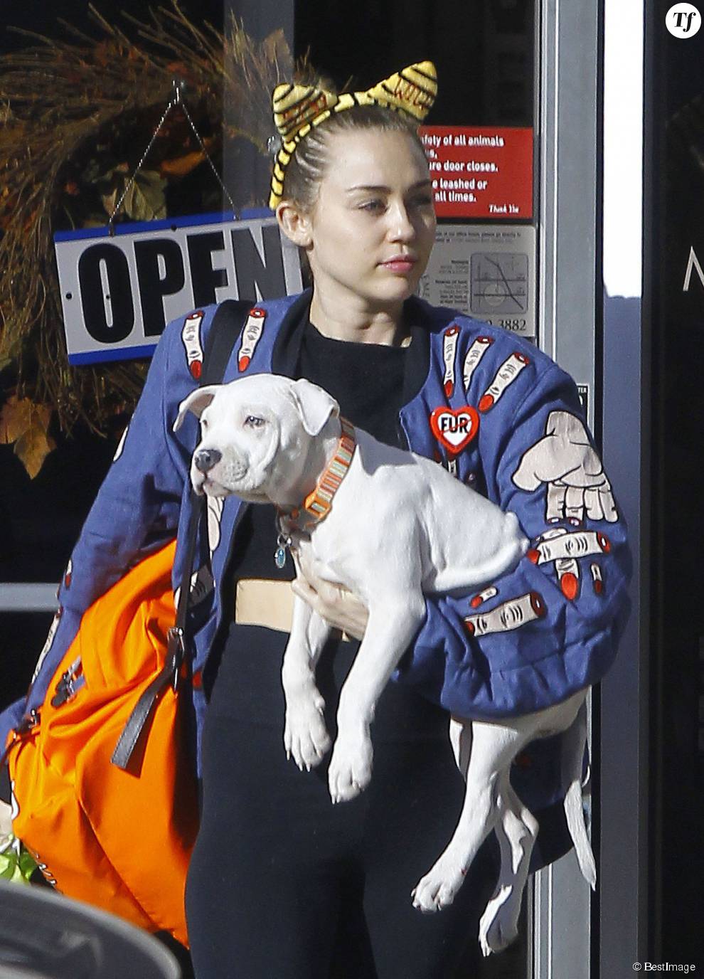 Miley Cyrus à la sortie d&#039;un cabinet vétérinaire avec son chien à Studio City, le 10 novembre 2015  