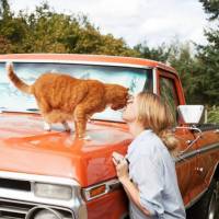 Girls and Their Cats, le superbe projet photo qui réhabilite la femme à chats