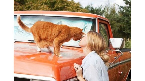 Girls and Their Cats, le superbe projet photo qui réhabilite la femme à chats