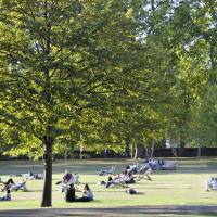 Écologie : pourquoi les arbres de Londres valent 8 milliards d'euros