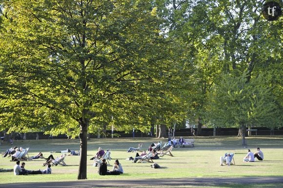 Des gens se relaxent à Hyde Park à Londres en plein été