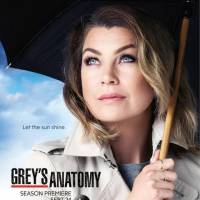 Grey's Anatomy Saison 12 : quelle date de diffusion pour l'épisode 9 ?