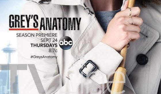 Grey's Anatomy Saison 12 : quelle date de diffusion pour l'épisode 9 ?