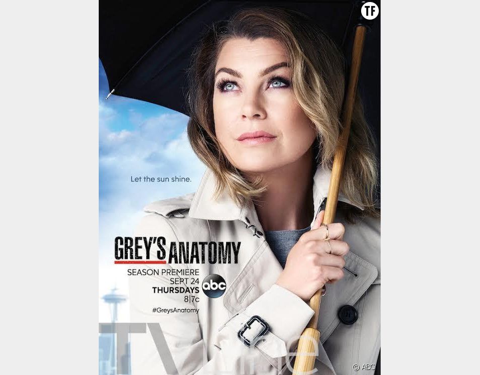 Grey's Anatomy Saison 12 : quelle date de diffusion pour l'épisode 9