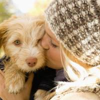 Les chiens nous rendent moins stressés, c'est scientifiquement prouvé