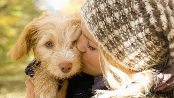 Les chiens nous rendent moins stressés, c'est scientifiquement prouvé