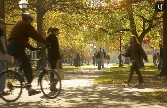 L'Université du Texas autorise ses étudiants à venir armés en classe