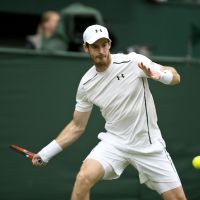 Wimbledon 2016 - Murray vs Raonic : heure, chaîne et streaming de la finale (10 juillet)