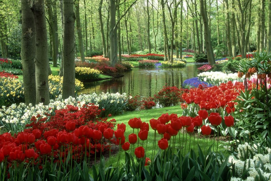 Parmi les 15 plus beaux jardins du monde, il y a celui de Keukenhof aux Pays-Bas.