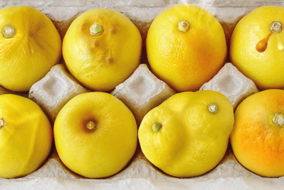 La campagne de prévention contre le cancer du sein "Know Your Lemons"