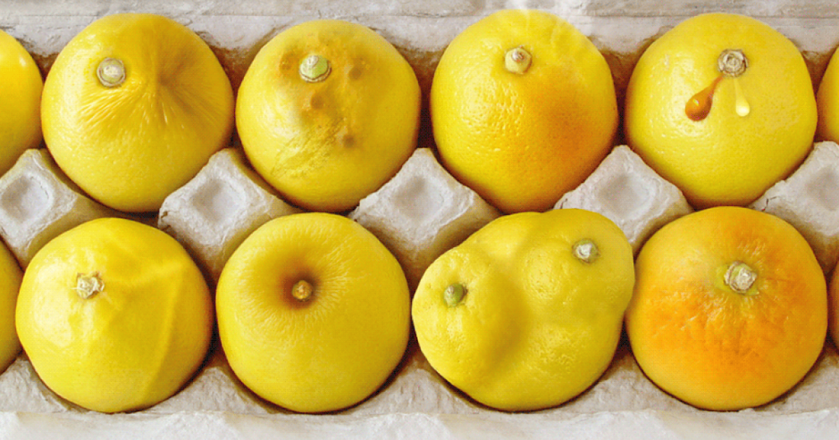 Ces citrons peuvent vous aider à détecter un cancer du sein ...