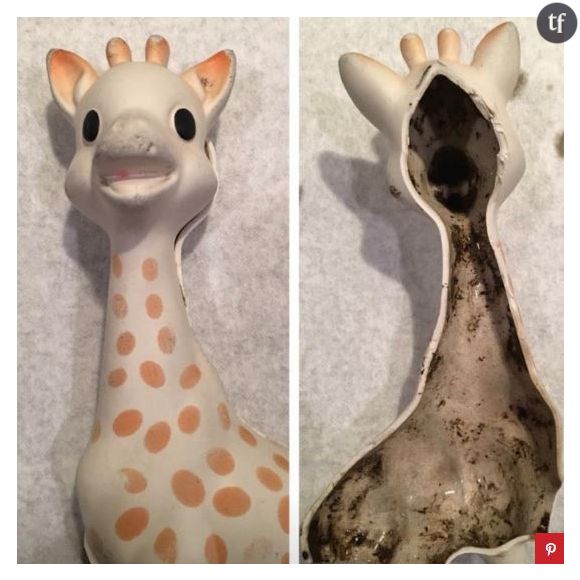 L'intérieur de Sophie la Girafe rempli de moisi