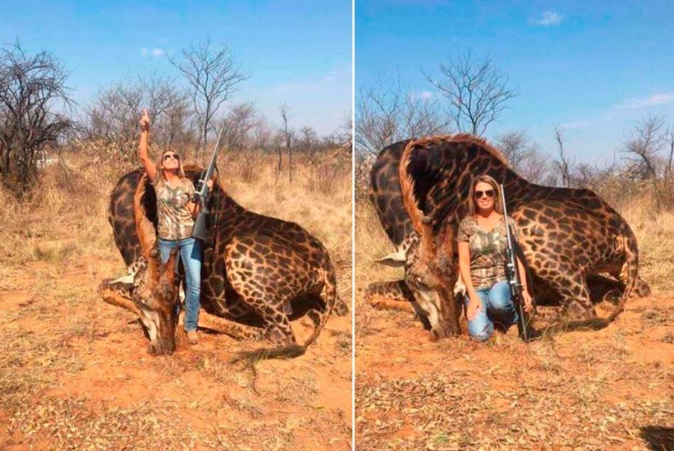 Une américaine tue une girafe et s'attire les foudre d'internautes