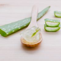 La consommation d'Aloe vera pourrait être dangereuse pour la santé