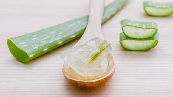 La consommation d'Aloe vera pourrait être dangereuse pour la santé