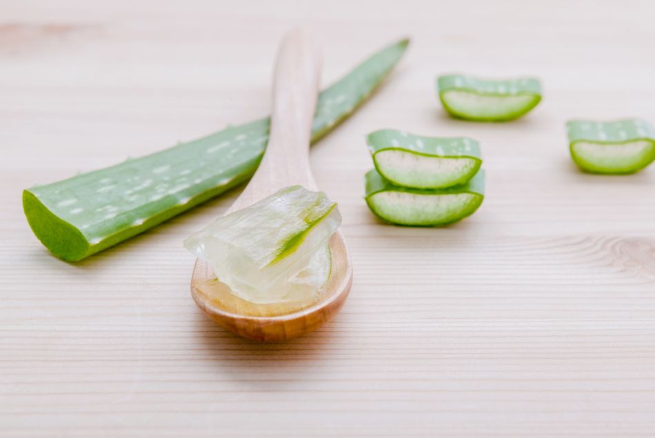 La consommation d'Aloe vera pourrait être dangereuse pour la santé