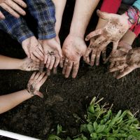 Du jardinage à la place des heures de colle : la bonne idée d'un collège parisien