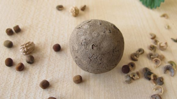 Comment fabriquer une bombe de graines pour lancer une guérilla écolo