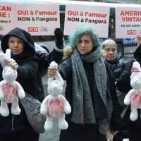 Stoppons le business de l'angora : "rien ne justifie une telle violence pour un pull"