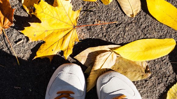 7 baskets écolos pour un automne green