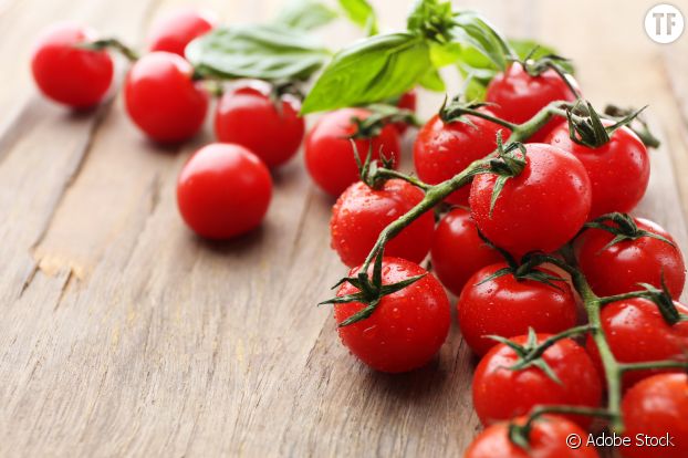 Faire pousser des tomates cerises à l'intérieur
