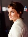 La nouvelle coiffure d'Emma Watson fait sortir les sexistes du bois