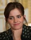"On va s'accorder sur rien du tout et laisser Emma Watson avoir la longueur de cheveux qu'elle souhaite"
