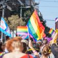  Ainsi Annise Parker, autrefois maire de la ville de Houston, voit là une réaction "aux attaques sans relâche visant la communauté LGBT cette année" 