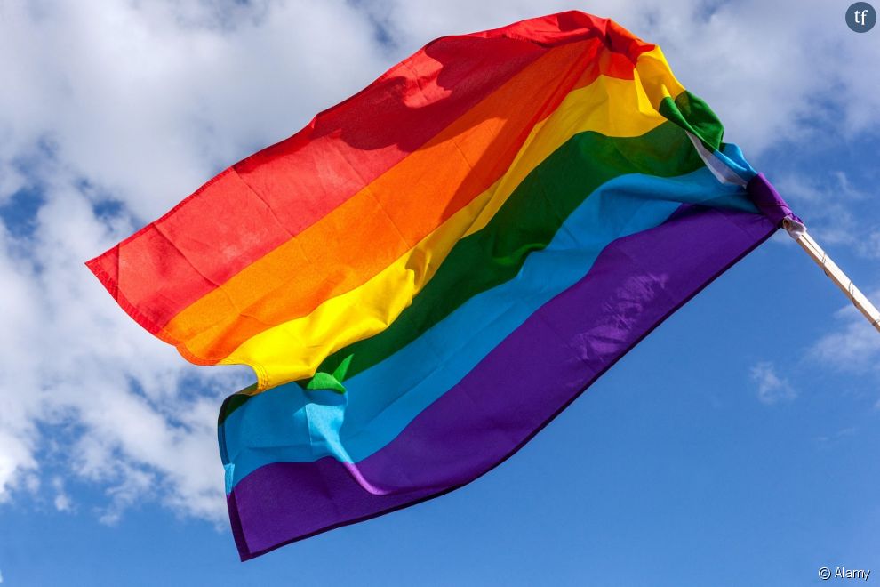  Parmi ces propositions, une loi ouvertement homophobe surnommée &quot;Don&#039;t say gay&quot;... 