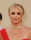         Britney Spears           a annoncé ce dimanche 6 novembre sur son compte Instagram être atteinte de lésions nerveuses irréversibles    