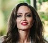 Conflit israelo-palestinien : Angelina Jolie prend position