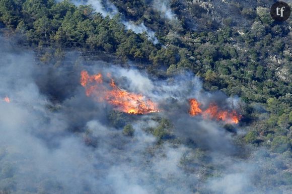 60 chercheurs l'affirment : le réchauffement climatique n'a jamais été aussi alarmant, c'est "l'urgence"
Incendie près de la commune espagnole de Portbou, à proximité de la frontière avec la France, le 5 août 2023